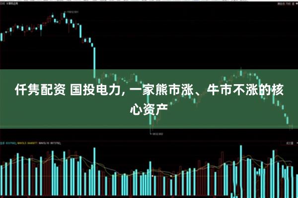 仟隽配资 国投电力, 一家熊市涨、牛市不涨的核心资产